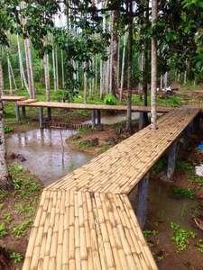 เสาไม้ไผ่ดิบสำหรับตกแต่งงานฝีมือและรั้วกลางแจ้ง - Product Image 2