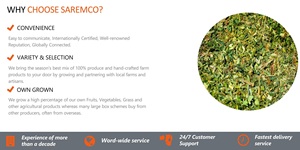 Des solutions d'ensilage de maïs de qualité supérieure rentables enrichies en nutriments pour une alimentation équilibrée et un bien-être amélioré pour les porcs, les bovins et les chevaux - Product Image 6