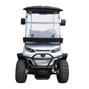 Voiture électrique à deux places, chariot de transport, batterie au plomb-acide, certifiée CE, 45 km/h, autonomie de 80-90 km, chargement et déchargement pratiques, personnalisable - Product Image 4