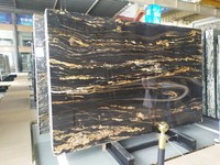 Dalles de granit quartzite brésilien de luxe Matrix Titanium Taurus Spectrus Juparana Cosmos Black Magma Cosmic Gold