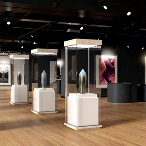 Vitrina de museo de lujo sin marco de vidrio templado con iluminación LED y base de madera para exhibición de colecciones de museo - Product Image 1