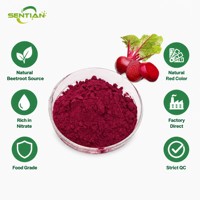 Poudre de jus de betterave (nitrate) Poudre de betterave rouge de qualité alimentaire Nitrate naturel Vente en gros en vrac Fournisseur d'usine