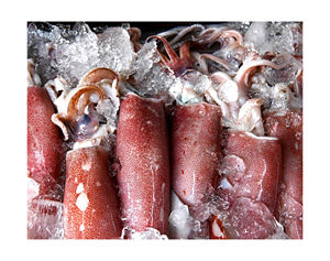 Calamar de alta calidad, tamaño S, calamar redondo entero congelado, gran oferta, calamar gigante congelado barato de alta calidad, precio al por mayor - Product Image 2