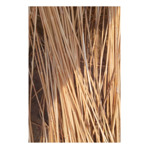 Núcleo de ratán vietnamita Núcleo de ratán duradero y duradero para exportación - Product Image 5