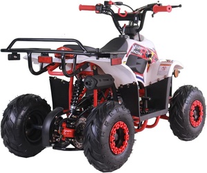 ATV Quad de 110cc para jóvenes, ATV de 4 ruedas a gasolina de 110cc, ATV todoterreno de tamaño infantil, vehículos de 4 ruedas dfdsg - Product Image 1