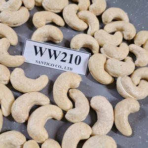 Noix de cajou sèches Kaju WW210 exportées vers le Moyen-Orient, l'UE Noix et amandes SANTIGO - Product Image 1