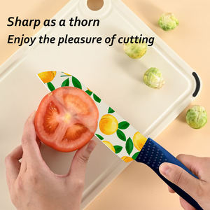 Juego de Cuchillos de Chef de Cerámica de Lujo de Nueva Tendencia con Mango de Plástico, Caja de Regalo para Ocasiones Especiales y Coleccionistas, Envío Gratis - Product Image 6