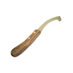 High-Precision Stainless Steel Bot <b>Egg</b> Removal Tool Farrier Tools with Pure Wooden Handle Cow's, Donkeys Hoof Knife by Life Care - Product Image 5