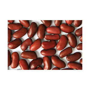 Red Kidney Beans For Sale Top Grade Wholesale Red kidney Beans For Sale In Cheap Price - Product Image 4
