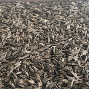 Tiger Oud Wood Chips Les bienfaits thérapeutiques du pur bois d'agar Oud pour la relaxation - Product Image 1