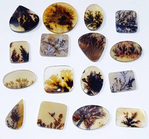 Shazar หินโมรา dendritic อัญมณีหลวม Cabochon อัญมณีหลวมขายส่งพลอยธรรมชาติใช้ทำเครื่องประดับ - Product Image 2