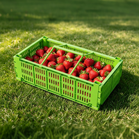 Plastic oogstmand met handvatten, tuinmanden voor het verzamelen van groenten en fruit, opbergorganizer