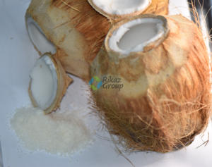 Polvo de coco orgánico - Product Image 2