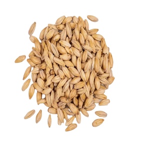 Grains d'orge maltés torréfiés séchés de qualité supérieure en gros 50 kg Alimentation animale pour poissons - Product Image 5