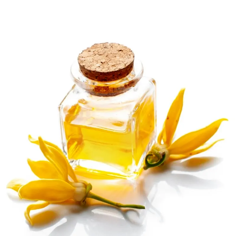 Ylang Ylang Oil Manufacturer in India Wholesale Essential Oil Suppliers for Making Body Lotion and Skin care Creams