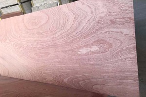 Feuille de bois de contreplaqué de bouleau de bonne qualité du fabricant du Vietnam 5mm & 9mm pour les hôtels et pour les produits de contreplaqué marin à bon prix - Product Image 2