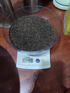 Pinhead 2,5MM Poivre Noir Moins Cher Haute Qualité Grande Quantité En Gros Exportation Qualité MR THOMAS 84 789896886 - Product Image 4