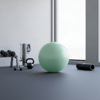 Umweltfreundlicher Anti-Burst Rutschfester Glatter Balanceball für Schwangere Geburt Yoga Pilates Übungen mit Pumpe für Zuhause 17-33 Zoll