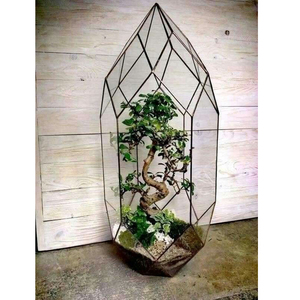 Gran oferta, soporte para plantas de aire interior, ventana, balcón, pantalla, maceta para flores suculentas, Terrario de cristal, maceta geométrica Irregular - Product Image 3