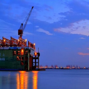 خدمة FCL/LCL الصين وكيل شحن نقل السلع المتضخم الصين وكيل الشحن إلى السلفادور/كوستا ريكا/بنما - Product Image 5