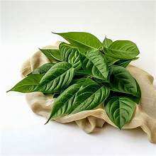 ใบปอกระเจาสีเขียวแช่แข็งผักจากพืชคุณภาพพรีเมี่ยมติดฉลากสะอาดเพิ่มพลังภูมิคุ้มกัน - Product Image 6