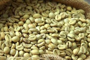 Micro Coffee - Granos de Café Arábica Brasileños y Etíopes Tostados, Empaque Personalizado OEM, Café Crudo al Por Mayor, Precio de Venta - Product Image 4