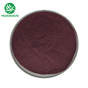 有機ビルベリーエキス25% ビルベリーアントシアニンパウダー - Product Image 1