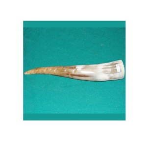 Taza de Cuerno Tallada de Primera Calidad, Taza de Cuerno Vikinga de Gran Capacidad para Regalo a Precios Bajos - Product Image 2