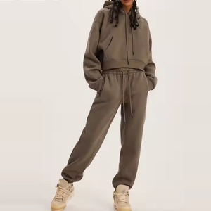 Logo personnalisé femmes automne sport à capuche ensemble respirant chaud épais hiver polaire français éponge survêtements 2 pièces ensemble - Product Image 1