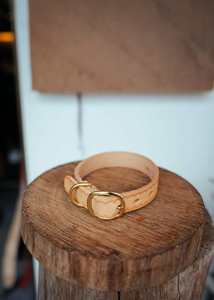 Collier pour chien en relief-Pétoncle-25mm-Naturel intelligent - Product Image 4