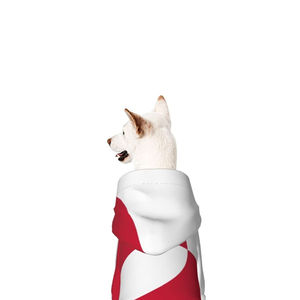 Maillot de basket respirant en maille pour chien, vêtements pour animaux de compagnie, veste, sweat-shirt uni pour chiens, costume pour animaux de compagnie, prix bas - Product Image 5