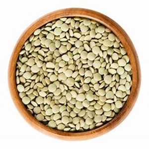 Top Grade Organic of Green <b>lentils</b> Available at Affordable Prices - Product Image 2