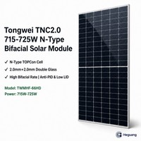 Module solaire Tongwei TWMHF-66HD 715W-725W N-Type TOPCon bifacial à double vitrage demi-cellule