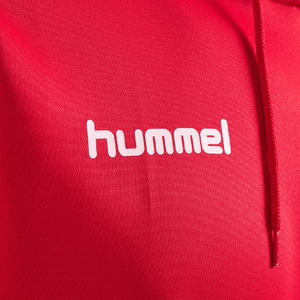 Haute qualité 100% polyester polaire hiver sweat à capuche personnalisé sérigraphie Logo respirant séchage rapide épais poids lourd surdimensionné - Product Image 2
