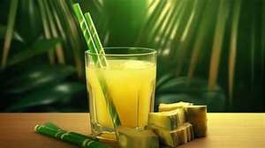 JUS DE CANNE À SUCRE CONGELÉ ÉTIQUETTE PROPRE ÉDULCORANT NATUREL BOISSON HYDRATANTE À BASE DE PLANTES - Product Image 6