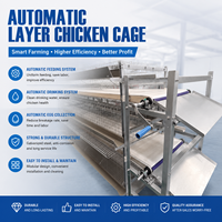 Cage à poulets de haute qualité en fil métallique galvanisé, équipement avicole avec système d'alimentation automatique pour élevage de poules pondeuses
