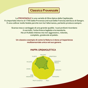 Aceite de Oliva Virgen Extra Clásico Provenzal Italiano de Alta Calidad para Cocinar o Aderezar, Lata de 5L - Product Image 4