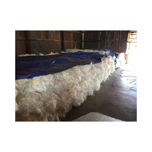 Fibra de sisal cruda al por mayor para hormigón y hilado de pelo de yeso de fibra de sisal textil de Kenia a la venta a granel - Product Image 2