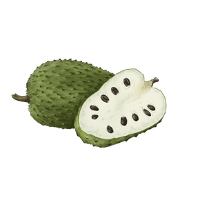 Best Organic Grade a Bulk <b>Fresh</b> Soursop <b>Fruit</b> Green Skin White Pulp Healthy Food-Wholesale Available - Product Image 3