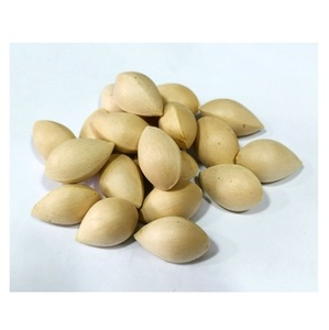 Organic Ginkgo <b>Nuts</b> 100% Premium Quality Good Quality Bulk Cultivation - Product Image 2