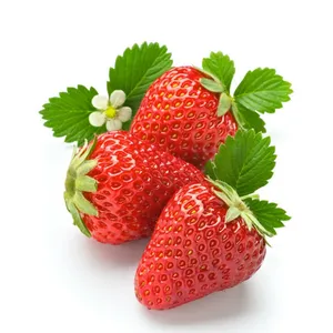 하이 퀄리티 신선한 과일 딸기 저렴한 가격에 판매 가능/저렴한 가격에 도매 신선한 딸기