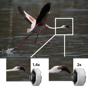 MAINTENANT DISPONIBLE FE 200-600mm f/5.6 6.3 SEL200600G Objectif de caméra - Product Image 3