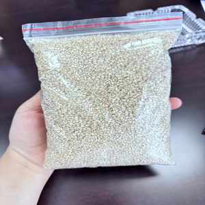 Graines de sésame blanches propres Sortex 99.95% naturelles en vrac pour la cuisson de qualité alimentaire Exportateur de sésame biologique de haute pureté - Product Image 4