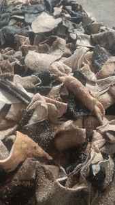 Piel de vaca natural orgánica de alta calidad, Cuero Crudo dividido para Fabricación de cuero, aplicaciones artesanales, uso industrial listo para sal seca - Product Image 5