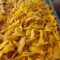 Gedroogde Mango Fruit Verpakking 150Gram 300Gram 500Grm Oem Verkopen-Whatsapp + 84 867 778 224