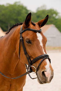 Cabestro de cuero ecuestre personalizable y brida occidental para doma de carreras de caballos con logotipo personalizado - Product Image 3