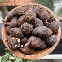 Vietnam 'S Zwarte Kardemom Gedroogde Fruitzaden Intense Smaak Culinaire Lekkernijen Groothandel