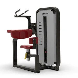 2024 Vente d'usine assis triceps-plat équipement de fitness commercial gym