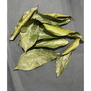 HOJAS DE SOURSOP SECAS | Wildcrafted, recogidas a mano y secadas al aire | Annona Muricata - Product Image 5