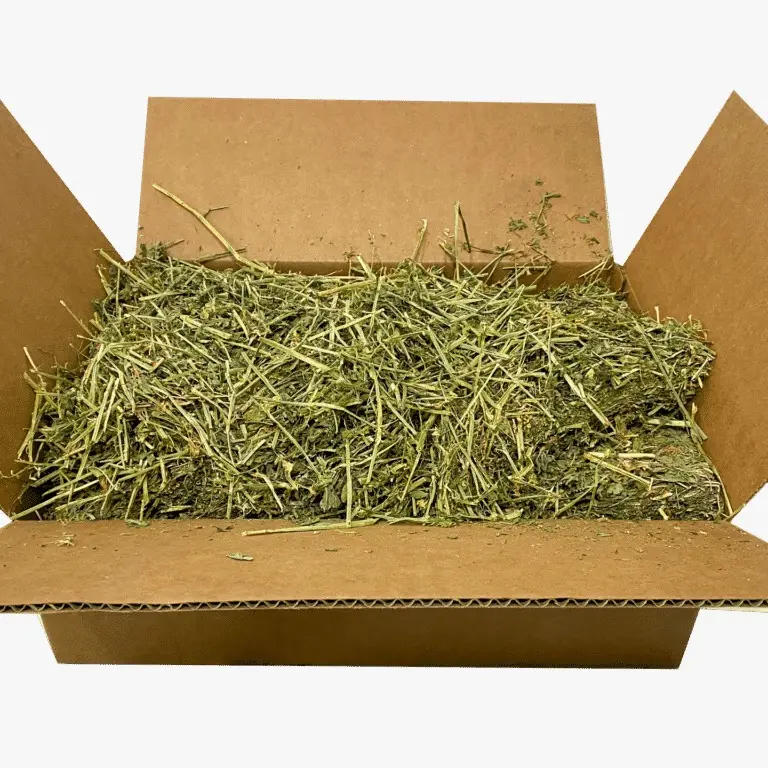 Оптовый поставщик натурального свежего травы сена люцерны онлайн